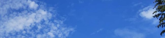 ひらくみ21's header image