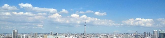 眠たいゆかゆか's header image