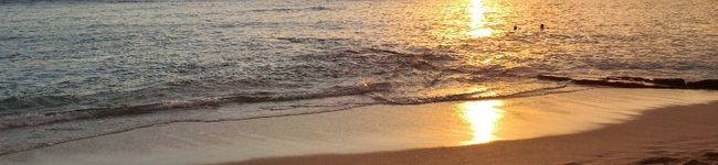 ayulv's header image