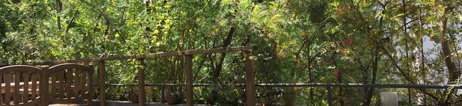 moe＊＊'s header image
