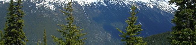 linalina's header image