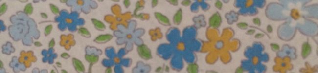 ｐｅｎｅｌｏｐｐｅ's header image