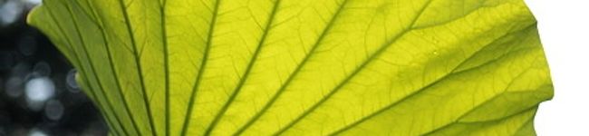 103tomi103's header image