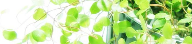 もあもあい's header image