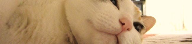 mumjiji's header image