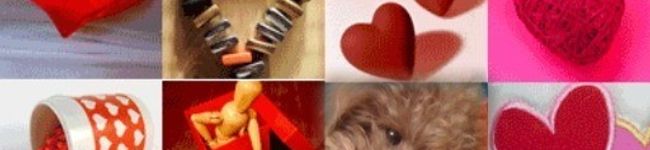 saraange's header image