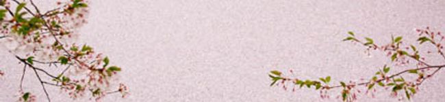 やまあさ's header image