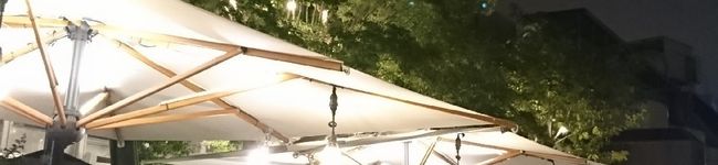 maimai_m's header image
