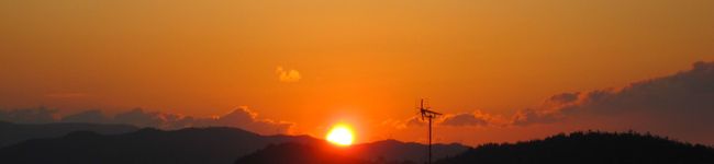 mahoringo's header image