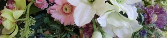majyodx's header image