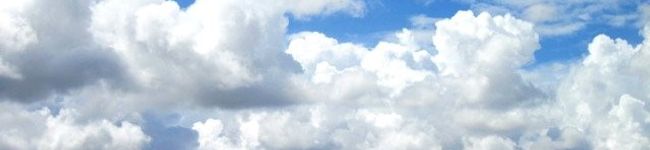 姫ちんヨッシー's header image
