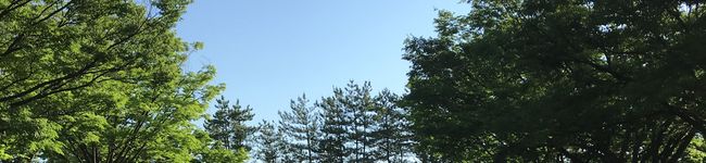 料理苦手〜ずぼらママ's header image