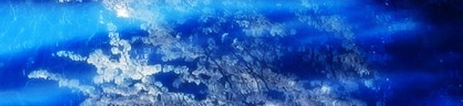 †YURINA†'s header image