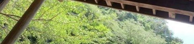 咲時雨's header image