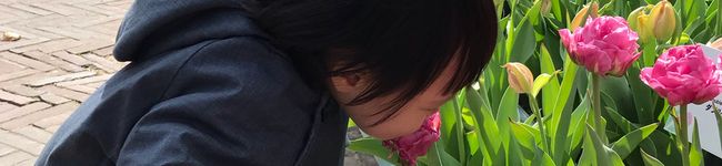 ちみーまうす's header image