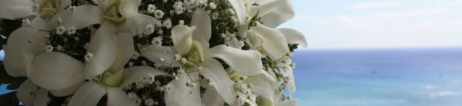 QPPY's header image