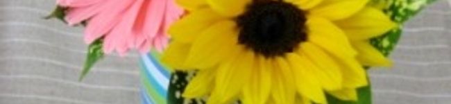 hana-bell's header image