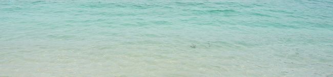 pantarouu's header image