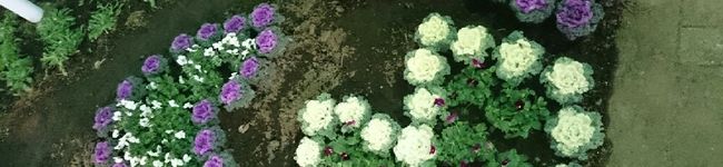 scoopy41's header image