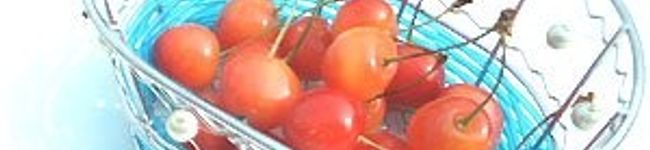 meloncook's header image