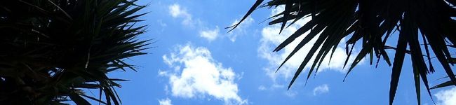 haruchan☆'s header image