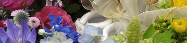 summerwine's header image