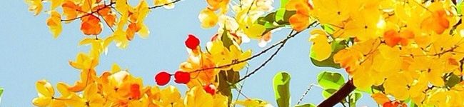 becky0118's header image