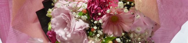 MiiAsan's header image