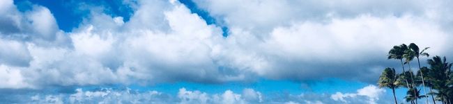 crabapple's header image