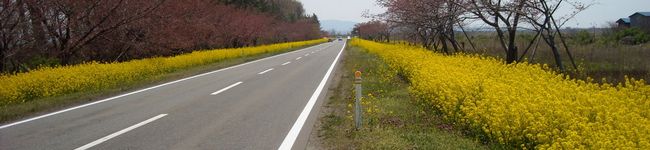 nanamutsumi's header image
