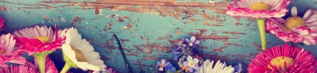 sada★haru's header image