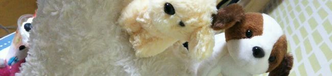 かなめーーーる's header image