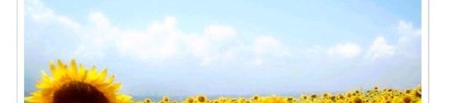 Jessica0701's header image