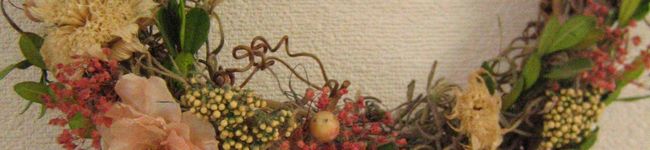 teresa's header image
