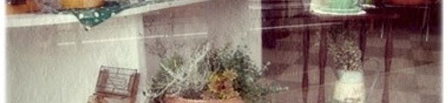 fmcnameshi's header image
