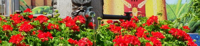 Kawakoすいす's header image