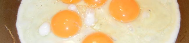 wowochiyo's header image