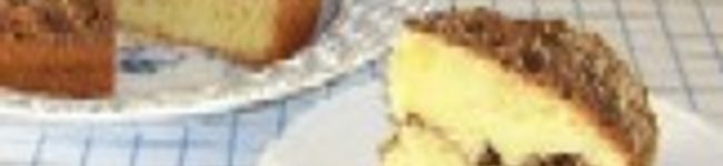 cocoon's header image