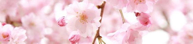 +ちぃ+'s header image