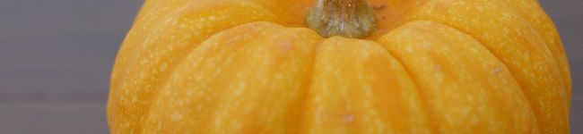 kanchan99's header image