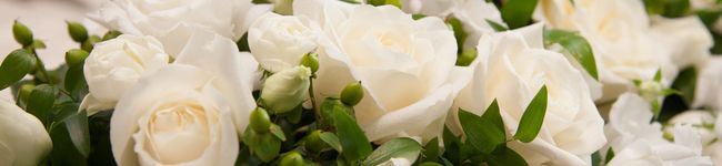 lalapa1025's header image