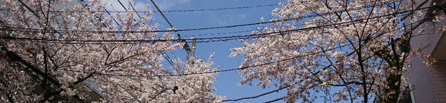 ごまナッツ's header image