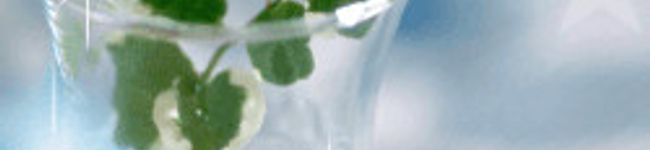 pin,k's header image