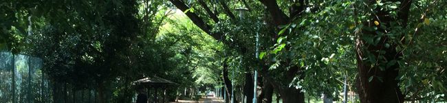 moemoe-rio's header image