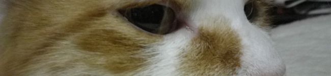 敬幸家's header image