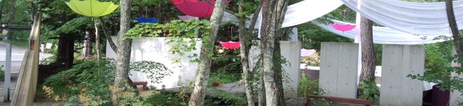 撫子＾＜＾）'s header image