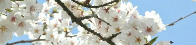まい＊田舎家そらしど's header image