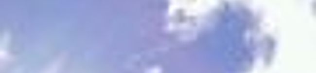 みほこちん's header image
