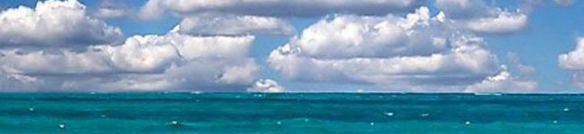 miyamac's header image