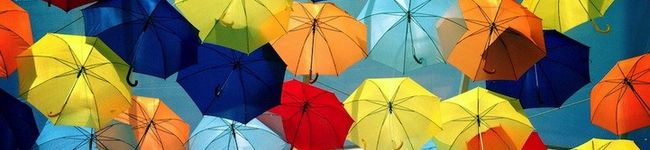 yellowow's header image